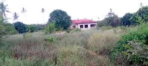 A 20 Acres Industial Land for Sale at Kibamba Kisemvule