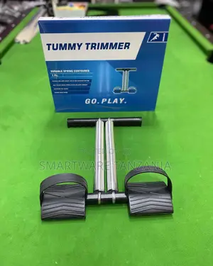 Sports Double Spring Tummy Trimmer Home Gym Equipment