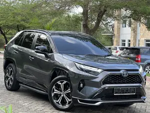 Toyota RAV4 Adventure 2022 Gray