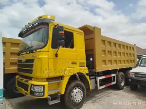 Shacman Truck F3000 for Sale