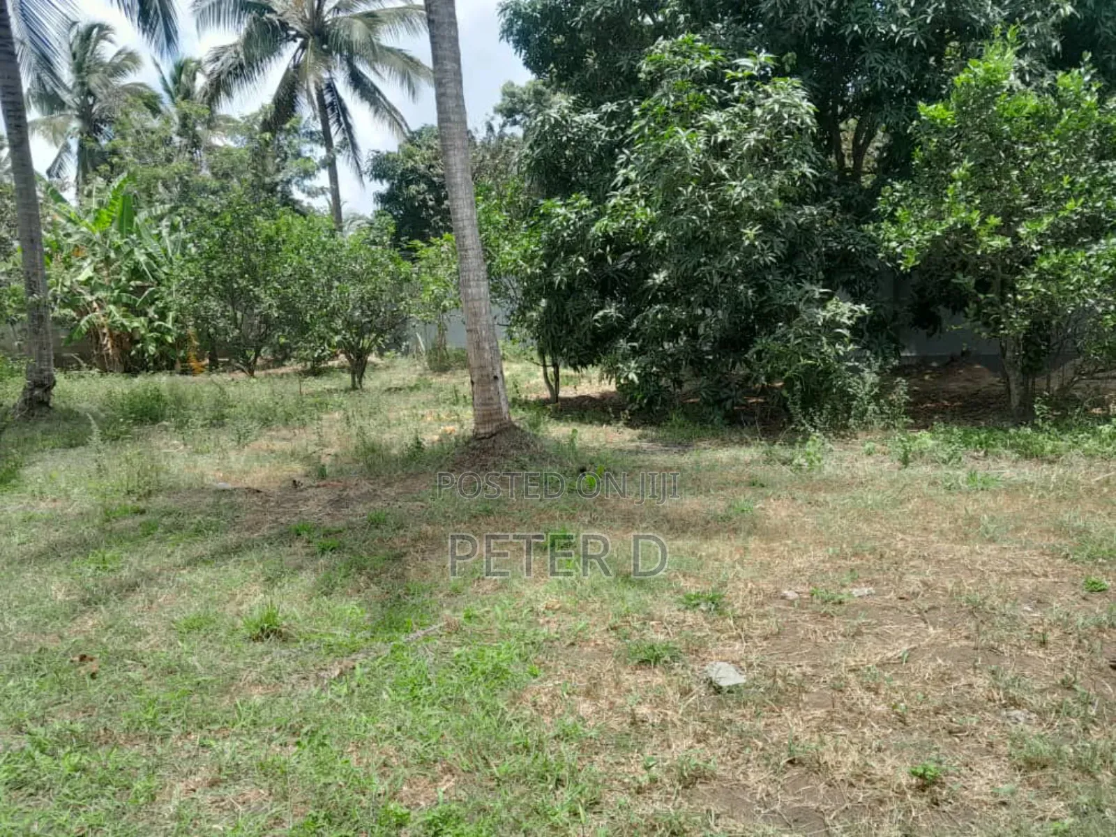 Kiwanja Kizuri Mbezi Makabe
