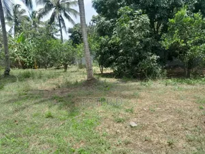 Kiwanja Kizuri Mbezi Makabe