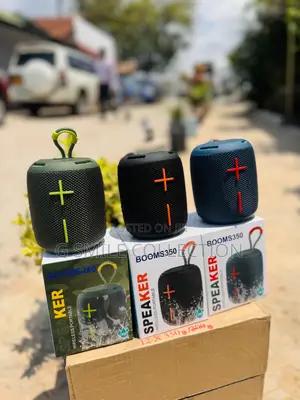 Booms 350 Portable Speaker