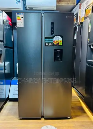 SPJ No Frost Fridge Side by Side Rf-Biu719c 550L With WD