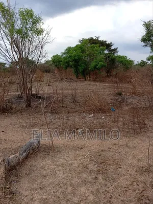 8 Acres for Sale on Road Side in Chamakweza Chalinze.