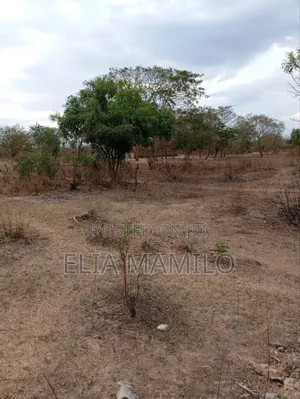 8 Acres for Sale on Road Side in Chamakweza Chalinze.
