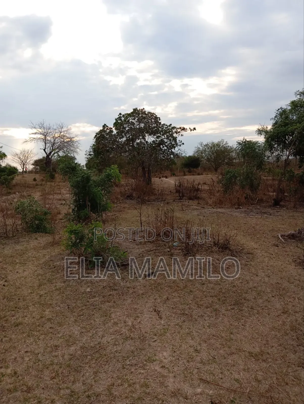 8 Acres for Sale on Road Side in Chamakweza Chalinze.