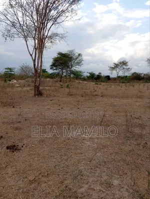 Industrial Plot for Chamakweza, Chalinze.