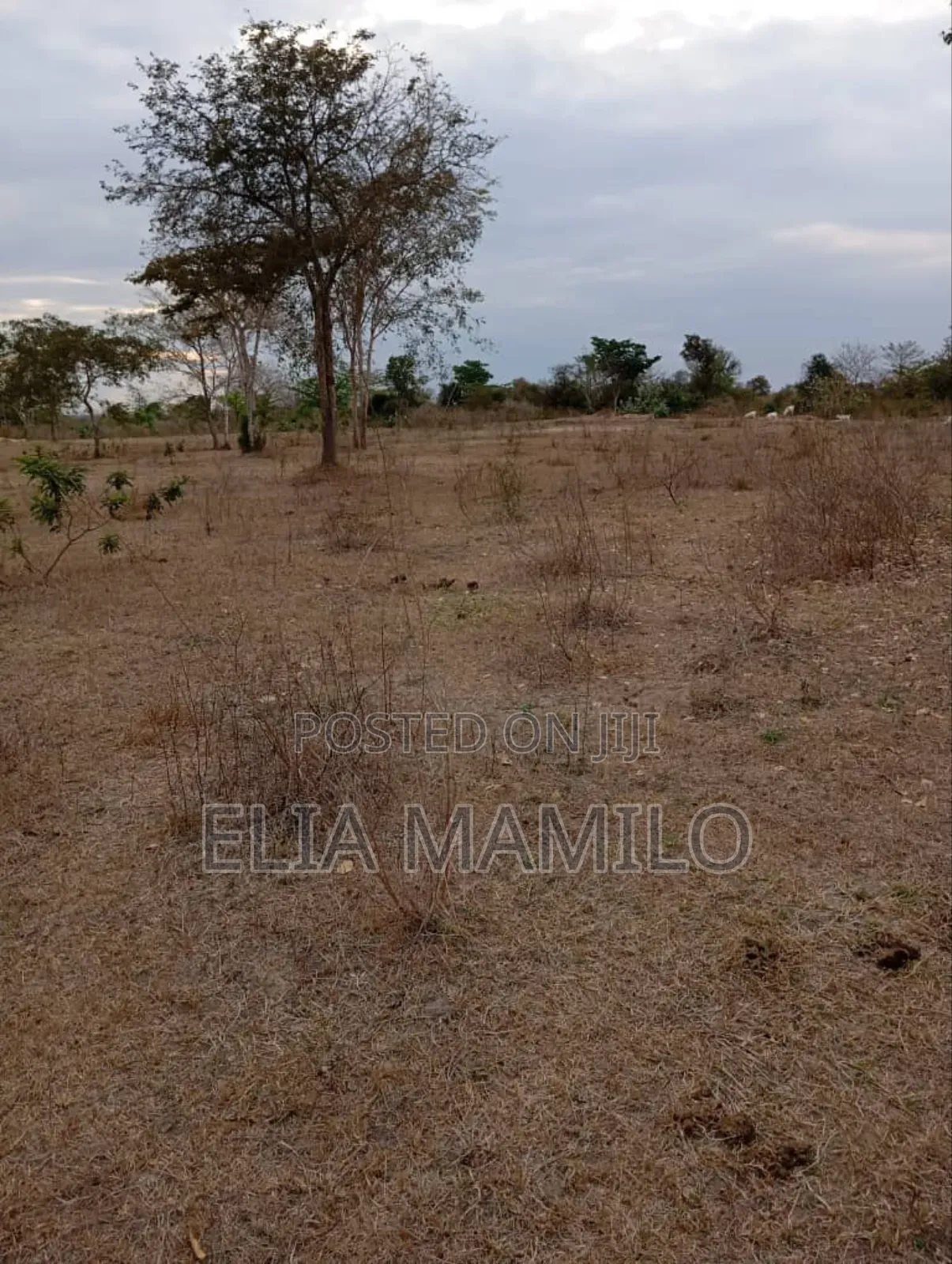 Industrial Plot for Chamakweza, Chalinze.