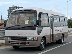 Toyota Coaster 2002 Brown