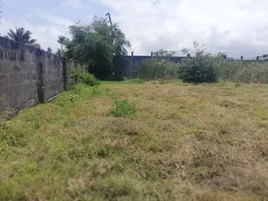 Big Plot Available for Rent at Mbezi Beach