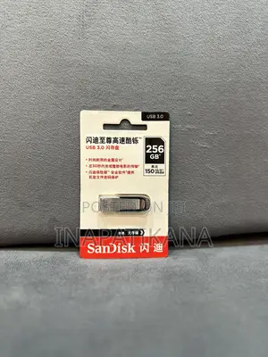 Sandisk Flash Disk Drive