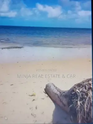 Beach Plot for Sale Banja Mafia
