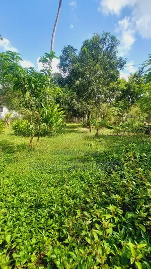 Plot Nzur Sana at Mbezi Kibanda Cha Mkaa