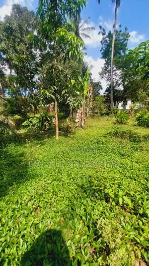 Plot Nzur Sana at Mbezi Kibanda Cha Mkaa