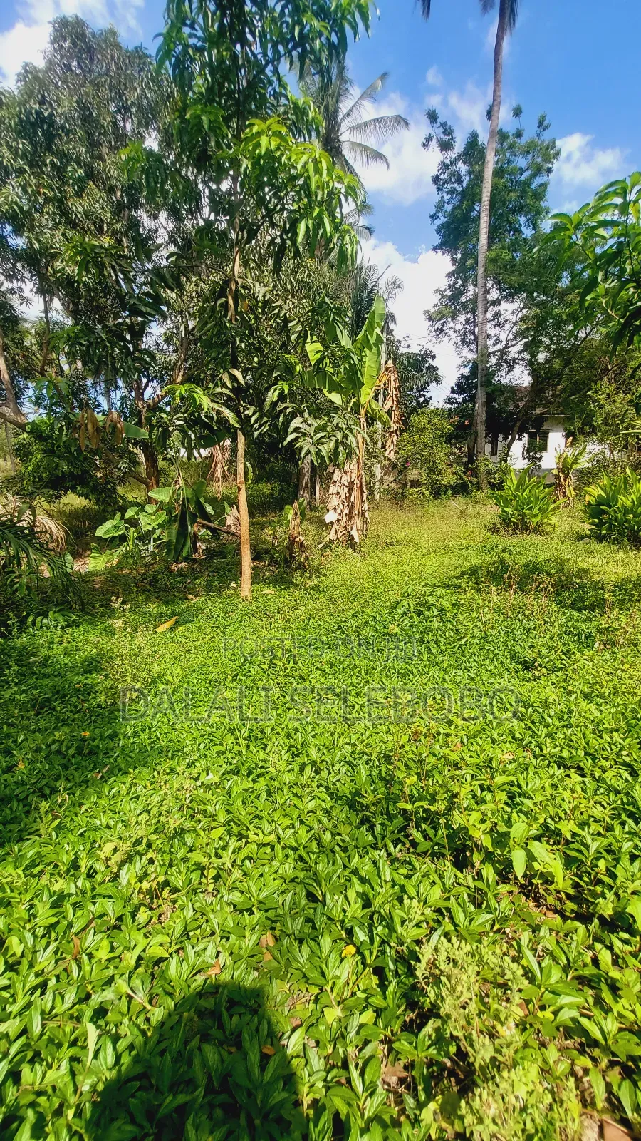 Plot Nzur Sana at Mbezi Kibanda Cha Mkaa