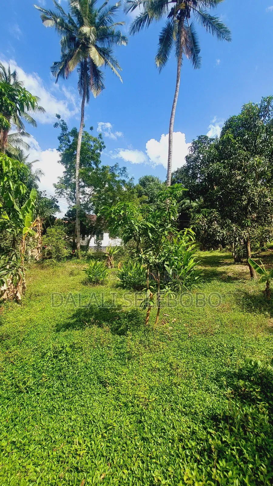 Plot Nzur Sana at Mbezi Kibanda Cha Mkaa