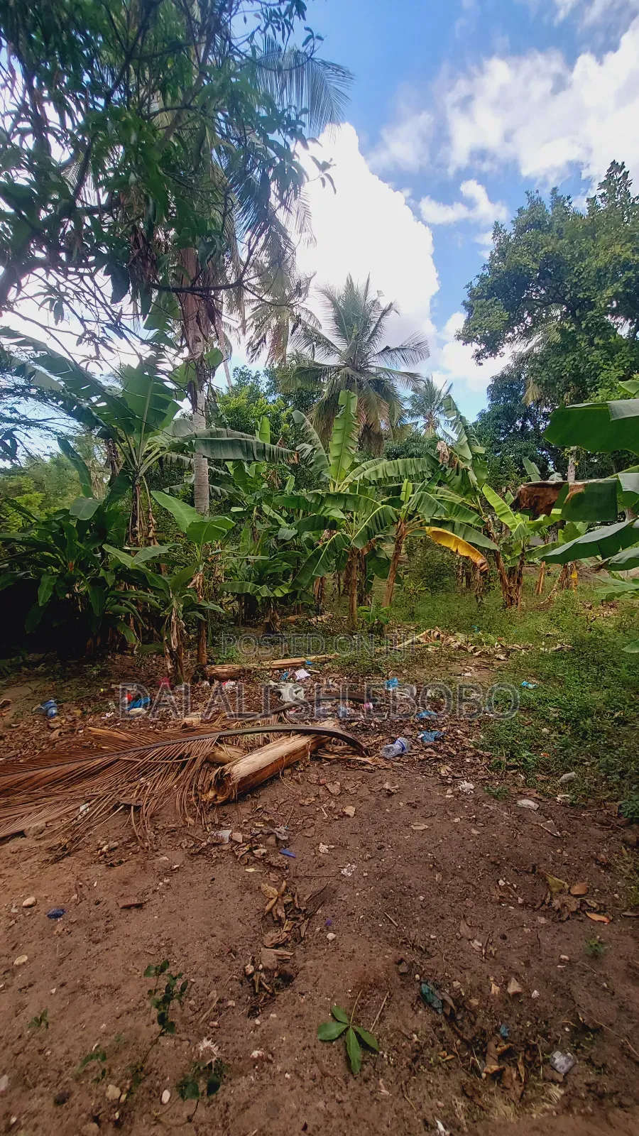 Plot Nzur Sana at Mbezi Kibanda Cha Mkaa