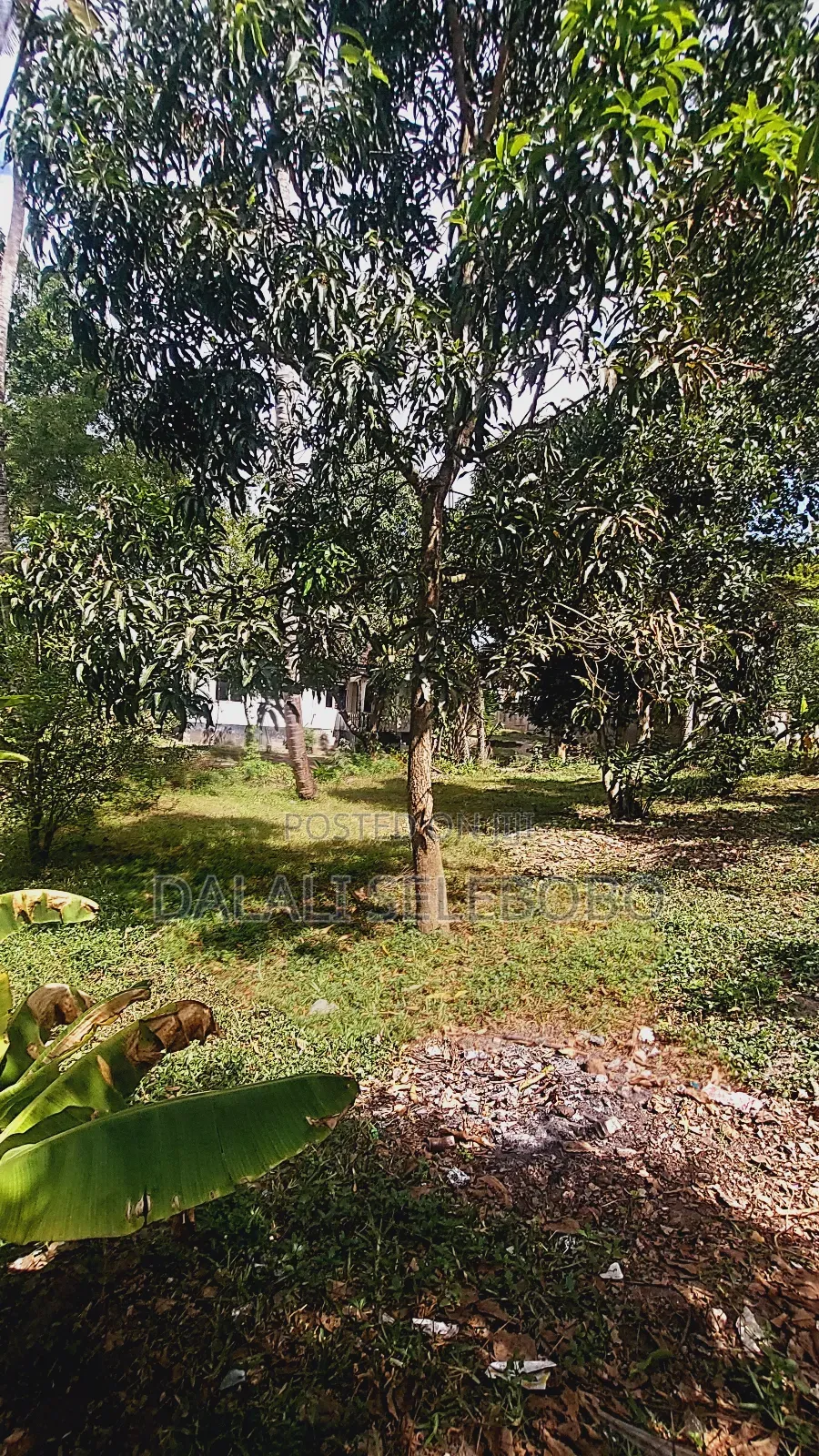 Plot Nzur Sana at Mbezi Kibanda Cha Mkaa