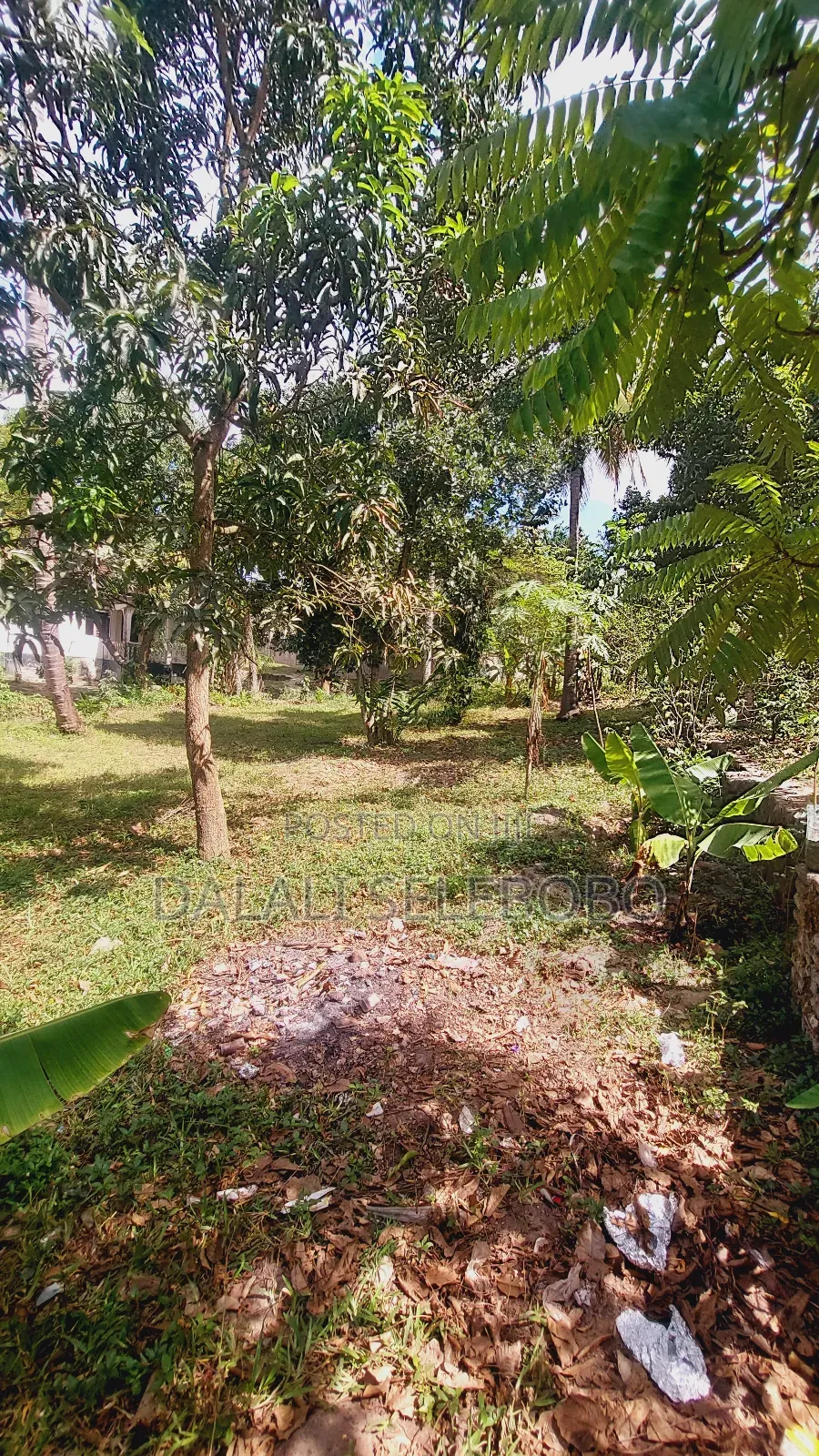 Plot Nzur Sana at Mbezi Kibanda Cha Mkaa