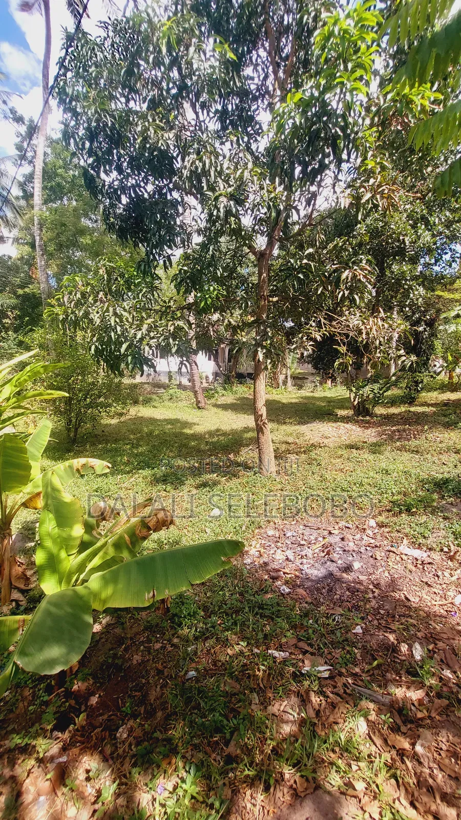 Plot Nzur Sana at Mbezi Kibanda Cha Mkaa
