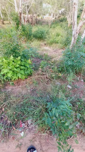 Plot Nzur Sana at Mbweni Ubungo