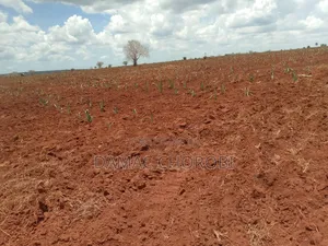 Acre 1000 Zinauzwa Tanga