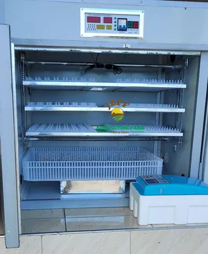 Incubator Mayai 528 Chuma Tupu