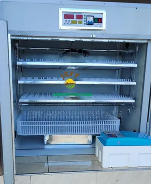 Incubator Mayai 528 Chuma Tupu