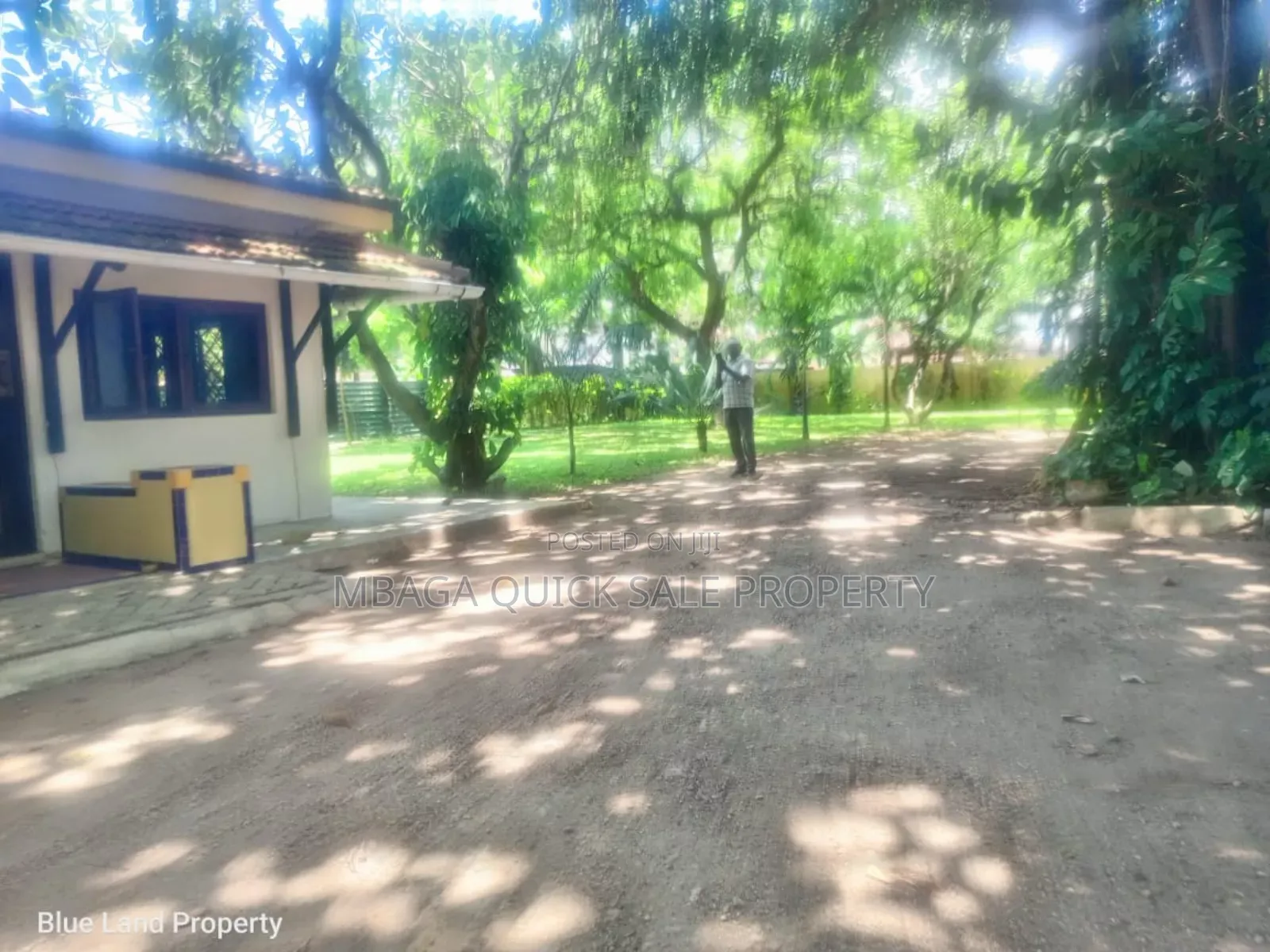 3bdrm Apartment in Masaki Peninsula for rent