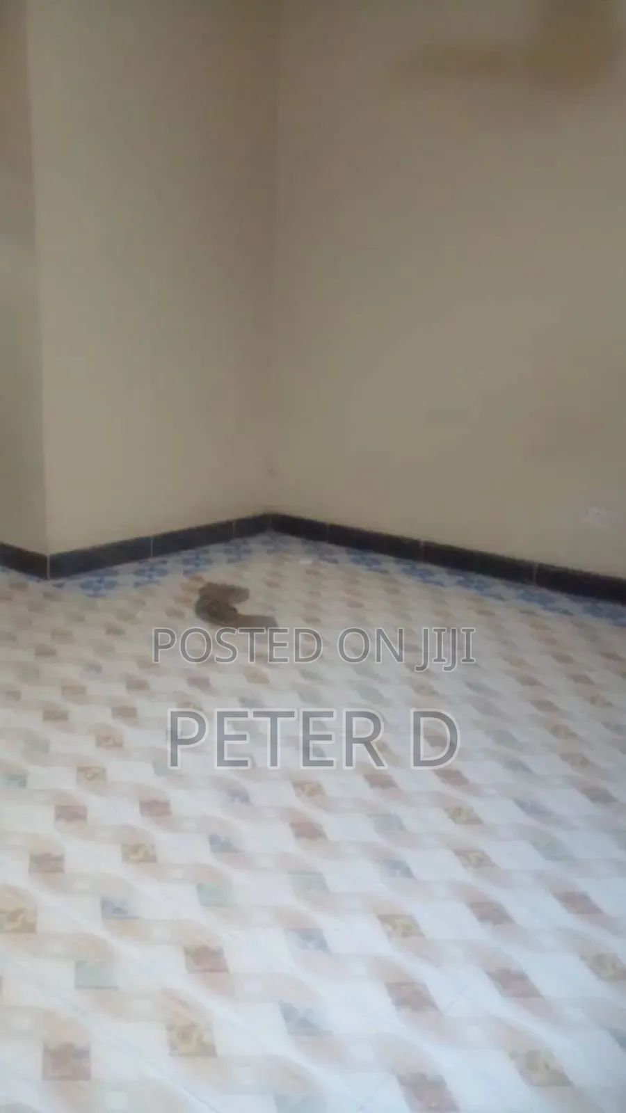 1bdrm Apartment in Kinondoni for rent