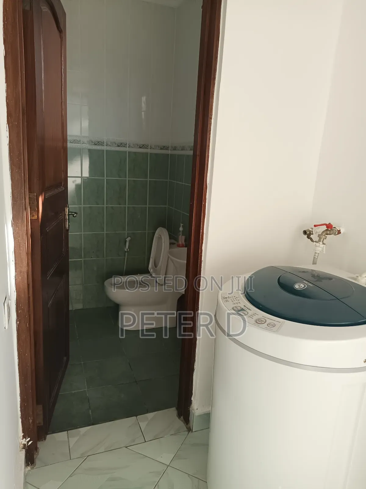 2bdrm Apartment in Mikocheni for rent