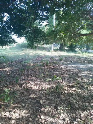 Eneo Sqmita 1500 Linauzwa Milioni 20 Ukonga Bombambili.