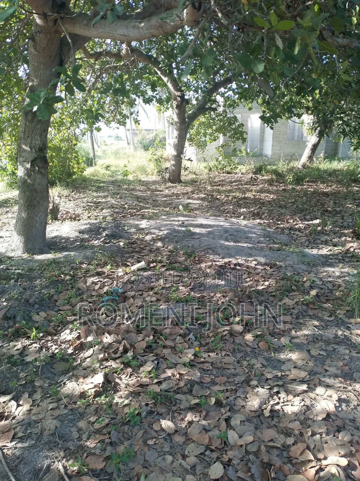 Eneo Sqmita 1500 Linauzwa Milioni 20 Ukonga Bombambili.