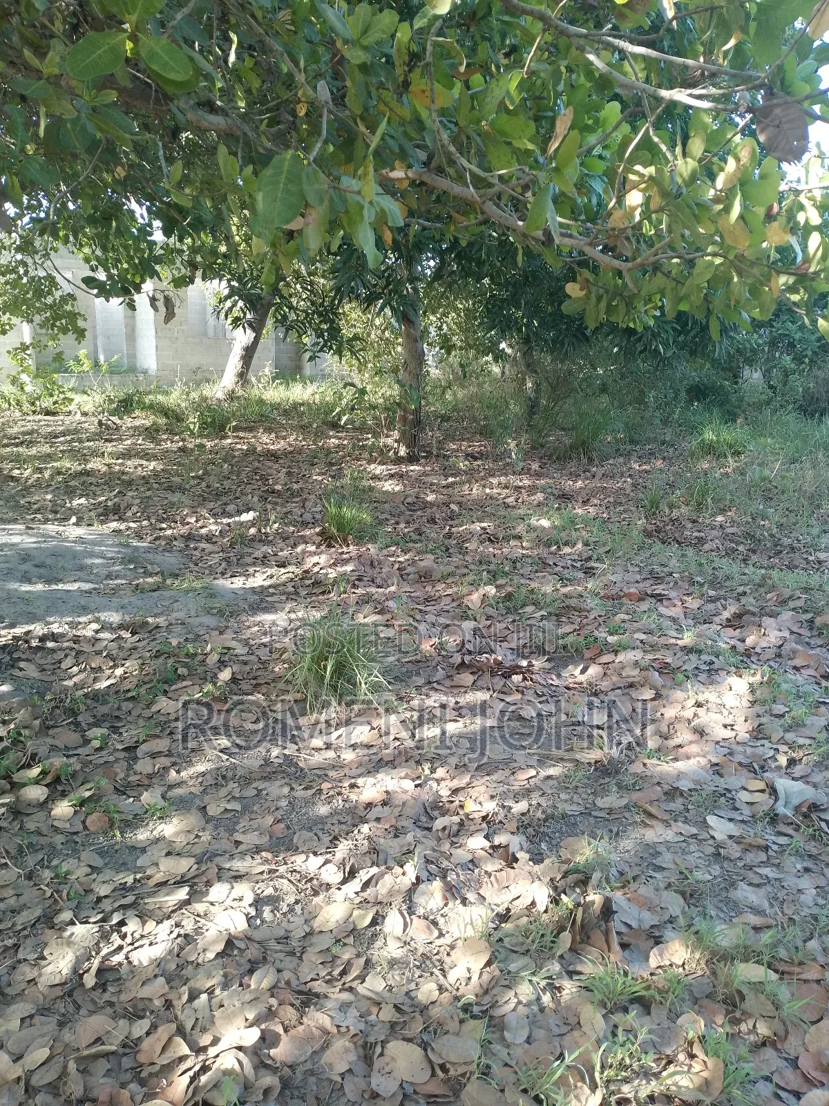 Eneo Sqmita 1500 Linauzwa Milioni 20 Ukonga Bombambili.