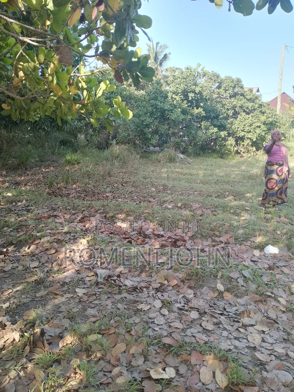 Eneo Sqmita 1500 Linauzwa Milioni 20 Ukonga Bombambili.