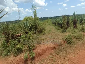 Acre 10 Zinauzwa Mbwewe Pwani