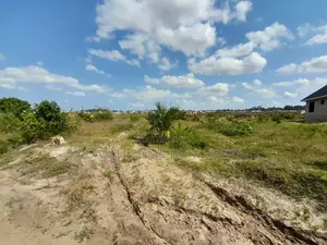 Kiwanja Kinauzwa Kigamboni Kisarawe 2