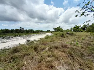 Eneo Linauzwa Kigamboni Mwasonga