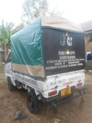 Nyama Ya Nguruwe Na Watoto Wa Nguruwe