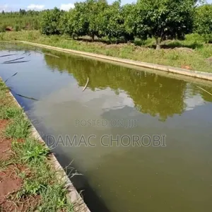 Shamba Hili Linauzwa Lipo Njombe
