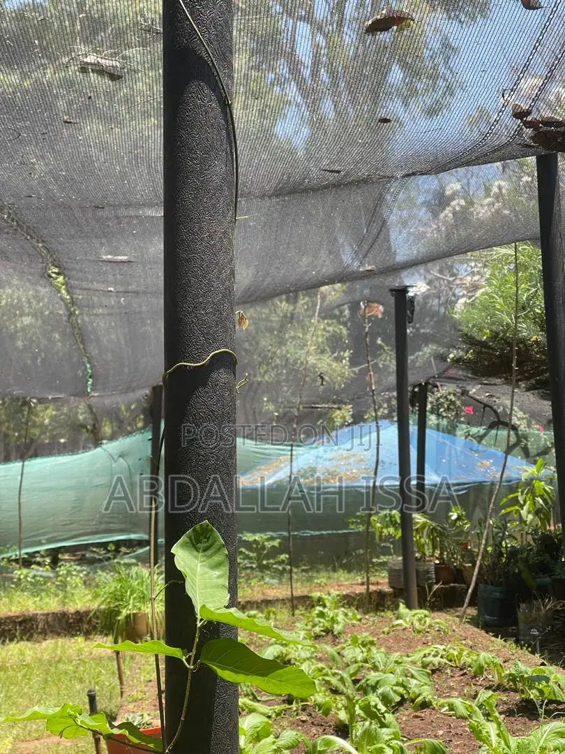 Garden Poles