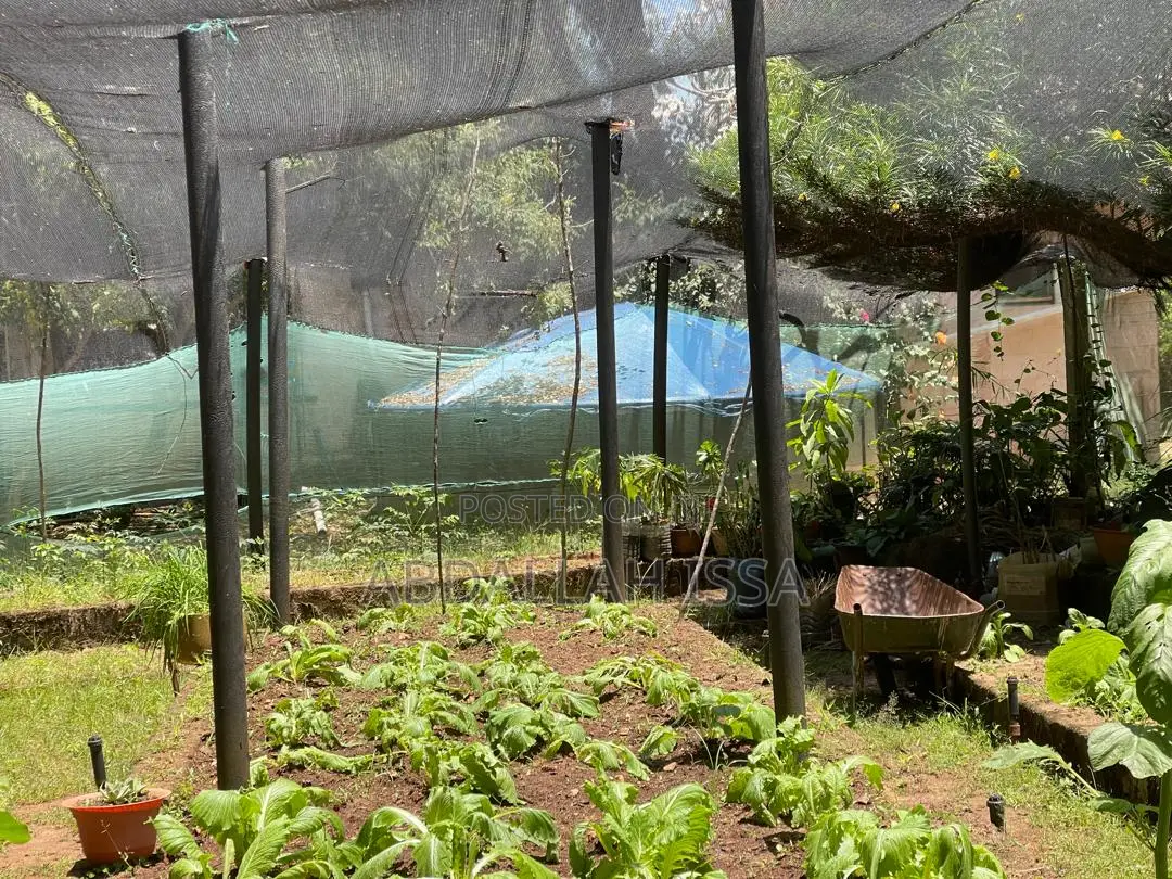 Garden Poles