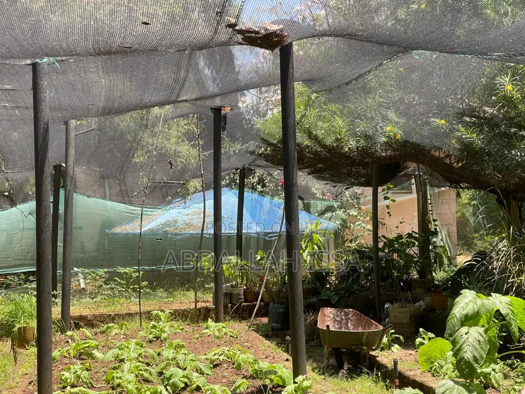 Garden Poles
