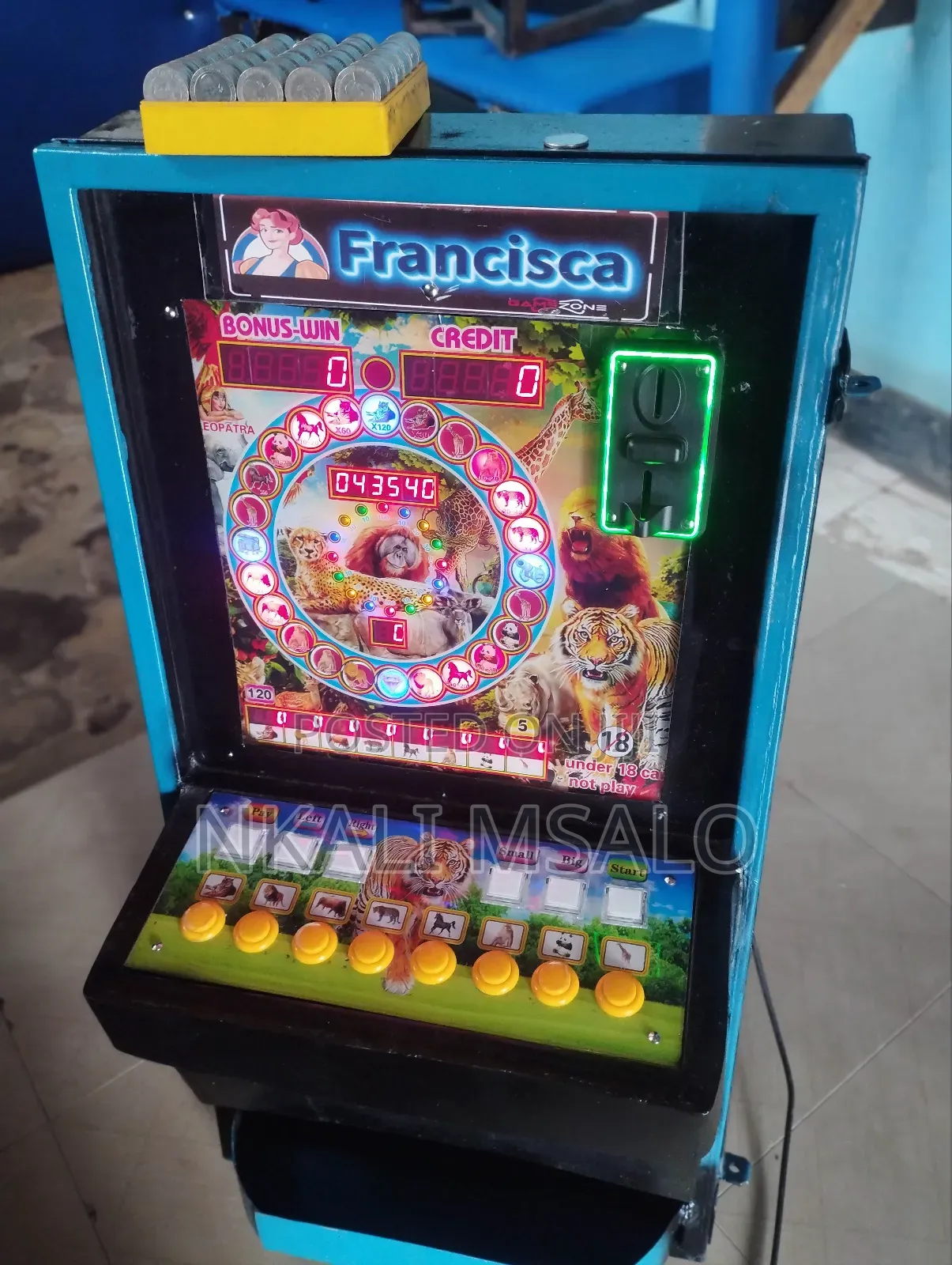 Slot Machine Bonanza, Dubu