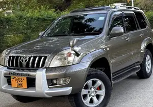 Toyota Land Cruiser Prado 2004 Gray