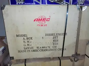 Amec Diesel Engine 24hp Original ZS1125