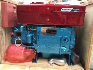 Amec Diesel Engine 24hp Original ZS1125