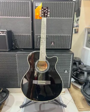 Acoustic Gita