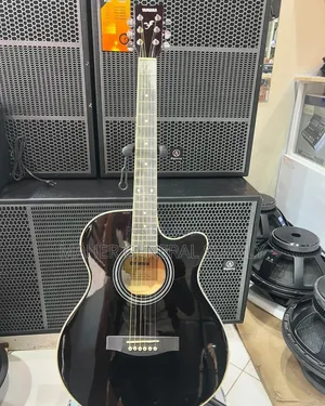 Acoustic Gita